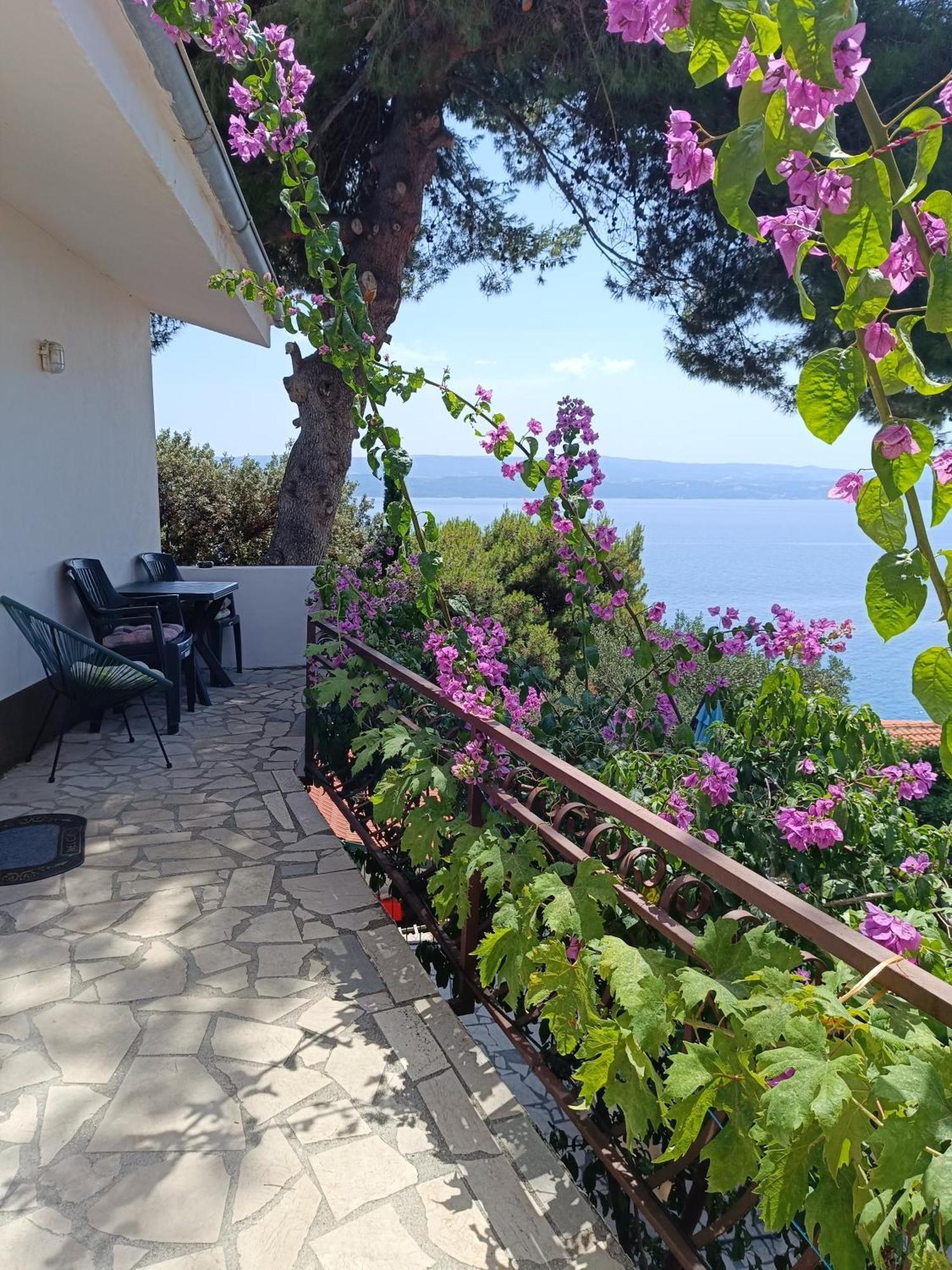 Studio Apartmani Tucic Celina Luaran gambar