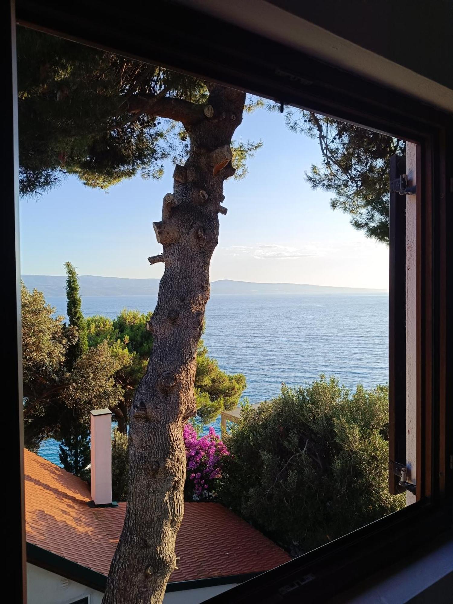 Studio Apartmani Tucic Celina Luaran gambar