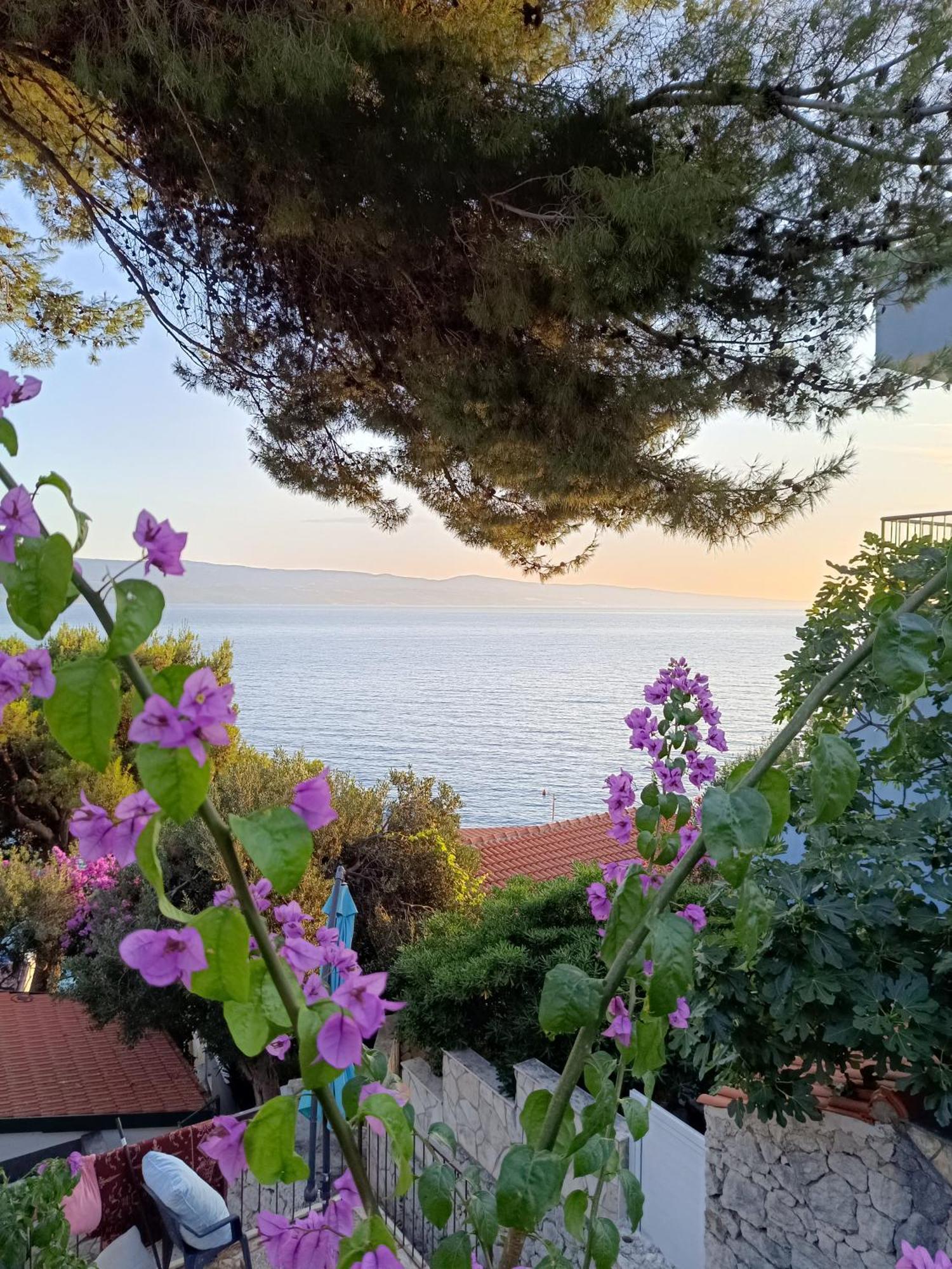 Studio Apartmani Tucic Celina Luaran gambar